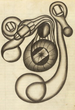 Perception Entities of Intelligence | Energy Bodies |